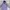 Hoodie Acover Lilac