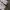 Hoodie Dickies Velvet Art 22 photo 6