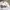 Crewnek Dickies Velvet Broken white  photo 2