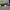 Nike Daybreak  photo 3
