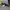 Nike Daybreak  photo 1