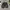 Nike Daybreak  photo 2