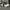 Nike Zoom 2K  photo 1