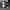 Nike Zoom 2K  photo 5