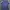 Navy Three Stripes Katun Womens