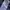 Navy Three Stripes Katun Womens photo 3
