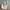 Longchamp Medium Long Handle MLH in Fleurs photo 4