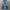 Vintage True Religion Distressed Blue Denim Pants photo 1