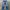 Vintage True Religion Distressed Blue Denim Pants