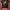 Y2k japanese brand excuse grungge t shirt photo 3