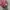 Disney Streetwear Sweater Wanita pink photo 4