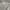 Crewneck Sweater Grey Wanita Print photo 2