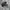 Sepatu Adidas Yeezy Powerphase Calabasas Full Black photo 1