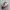 NIKE AIR MAX 97 | SHOE | Sell 4nything photo 5