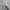 NIKE AIR MAX 97 | SHOE | Sell 4nything photo 3