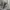LMC grey pigmen limited edition photo 4