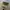 Red Star Mao Zedong Green Caded Hat photo 1