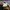 Carhartt Baseball Cap Hat Cream photo 7