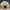 Carhartt Baseball Cap Hat Cream photo 2