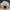 Carhartt Baseball Cap Hat Cream