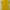 Polo Tshirt Kuning Tory Burch