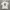 Vintage Streetwear T-shirt Pria White
