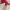 Topi warna merah  photo 5