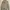 Polo Ralph Lauren Polo Bear Fleece Full-Zip Hoodie photo 3
