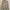 Polo Ralph Lauren Polo Bear Fleece Full-Zip Hoodie photo 1