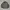 Bomber Jacket By Nylaus