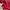 Lacey Red Cardy photo 4