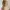 MLB Streetwear Casual Hat Pria tan photo 6