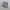 Armani Exchange Short Pants Casual Celana Pendek Gray photo 1