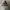 Adidas ZNE Hoodie Abu photo 5