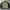 Members Only Skull & Bones 75 Printed Camo Reversible Bomber photo 5