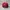 Topi Bass Pro Shops Fishing Red White Colour Trucker Cap Adj photo 6