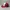 Topi Bass Pro Shops Fishing Red White Colour Trucker Cap Adj photo 5