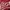 Cardigan berwarna merah garis putih photo 2