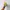 Converse Chuck Taylor 70s High Empowered Yellow photo 4