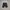 Celana Pendek Jeans Nike Skateboarding "933304-010" photo 1