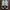 Sepatu Nike Cortez Basic White Black Original – Size EUR 35  photo 3