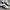 Adidas Samba photo 2