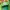 Sepatu New Balance 992 Green USA photo 7