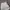 Celana Pendek Nylon Nike Swoosh "CJ4905-100" photo 3