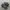 new balance 1906 photo 1