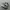 nike jordan photo 1