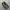 nike jordan traviscout photo 3