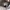nike jordan traviscout photo 6