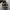 nike jordan traviscout photo 4