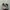 nike jordan traviscout photo 2